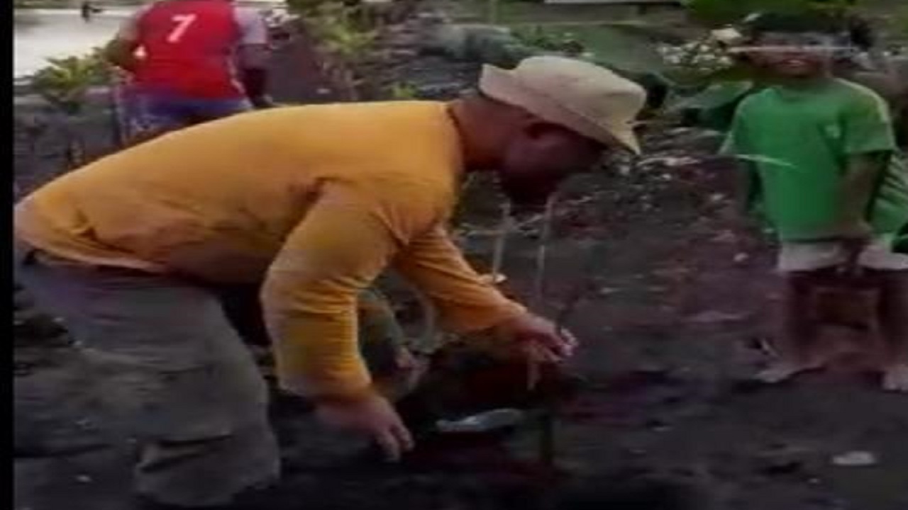 Bappeda Banyuwangi menanam manggrove2